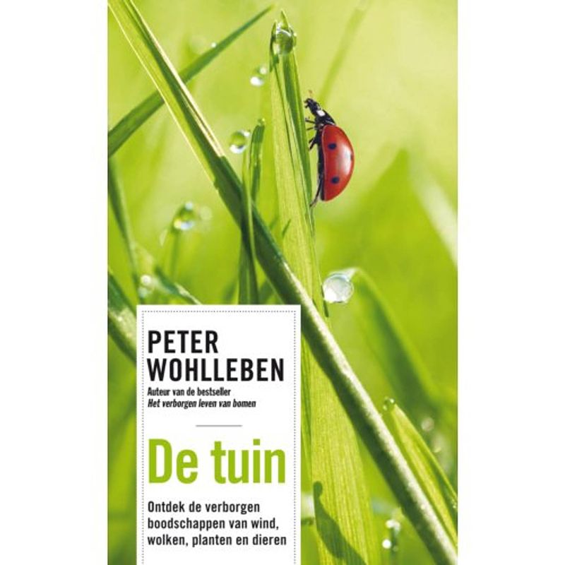 Foto van De tuin