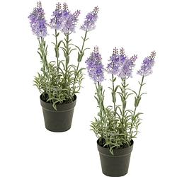 Foto van Set van 2x stuks lila paarse lavendel lavandula kunstplanten in kunststof pot 28 cm - kunstplanten