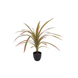 Foto van Dracaena kunstplant 60cm