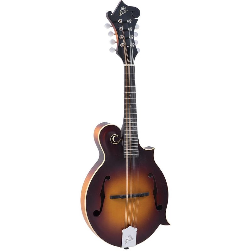 Foto van The loar lm-590-ms all-solid f-stijl mandoline mat burst