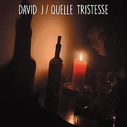 Foto van Quelle tristesse - 7 inch vinyl;7 inch vinyl (5024545968279)