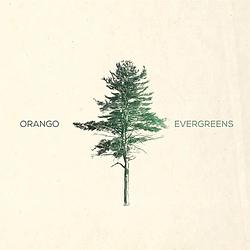 Foto van Evergreens - lp (7041885203417)