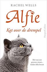 Foto van Kat over de drempel - rachel wells - ebook