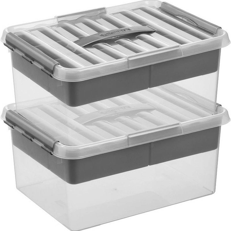 Foto van 2x opberg boxen/opbergdozen tray 15 liter40 x 30 x 18 cm - opbergbox