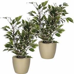 Foto van 2x stuks groen/witte ficus kunstplanten 40 cm met plantenpot parelgoud d13.5 en h12.5 cm - kunstplanten