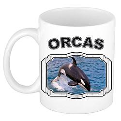 Foto van Dieren grote orka beker - orcas/ orka walvissen mok wit 300 ml - feest mokken