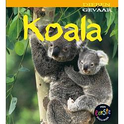 Foto van Koala - dieren in gevaar