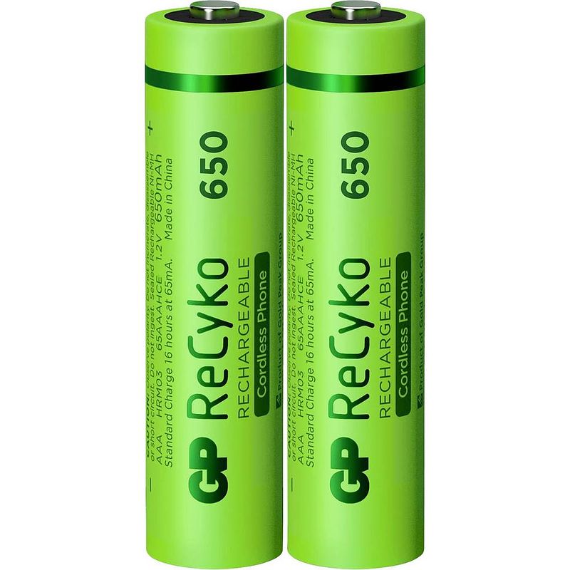 Foto van Gp recyko aaa 650mah 2 stuks oplaadbare nimh batterij