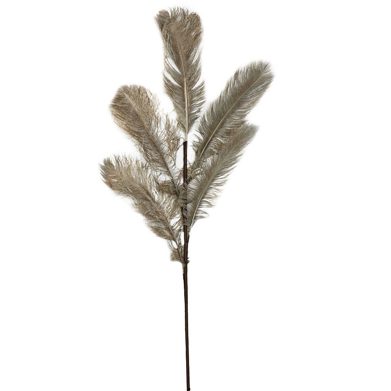 Foto van Light&living ornament 5 veren 55x125 cm feather licht goud