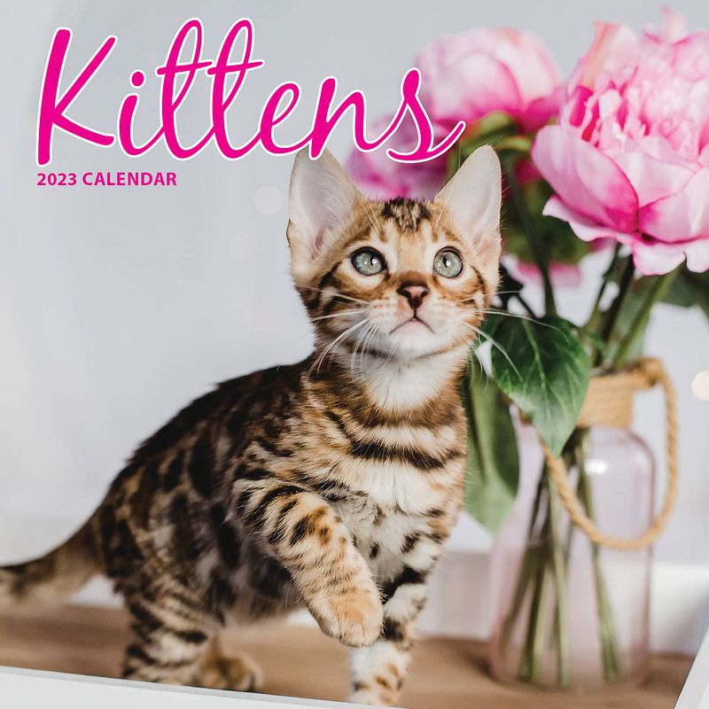 Foto van Kittens kalender 2023