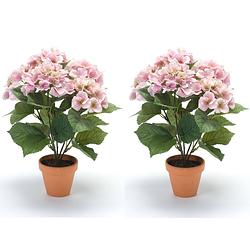 Foto van Set van 2x stuks roze hortensia hydrangea macrophylla kunstplant in kunststof pot 40 cm - kunstplanten