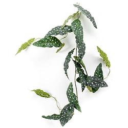 Foto van Emerald kunstplantslinger stippenbegonia 120 cm