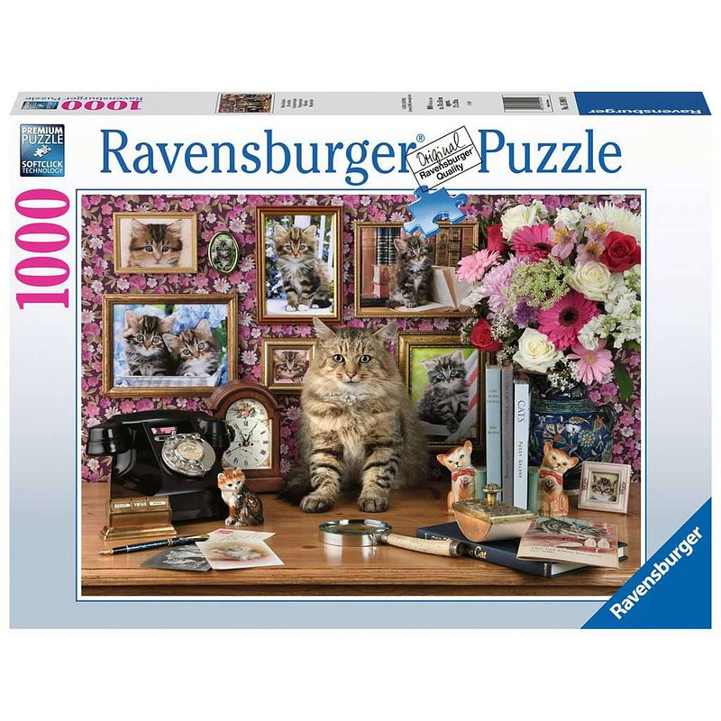 Foto van Ravensburger puzzel mijn katjes 1000pcs