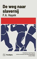 Foto van De weg naar slavernij - f.a. hayek - ebook (9789025314286)
