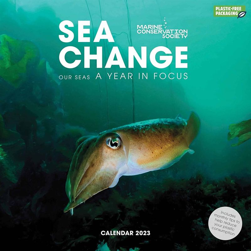 Foto van Sea change kalender 2023