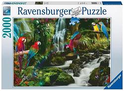 Foto van Bonte papegaaien in de jungle (2000 stukjes) - puzzel;puzzel (4005556171118)