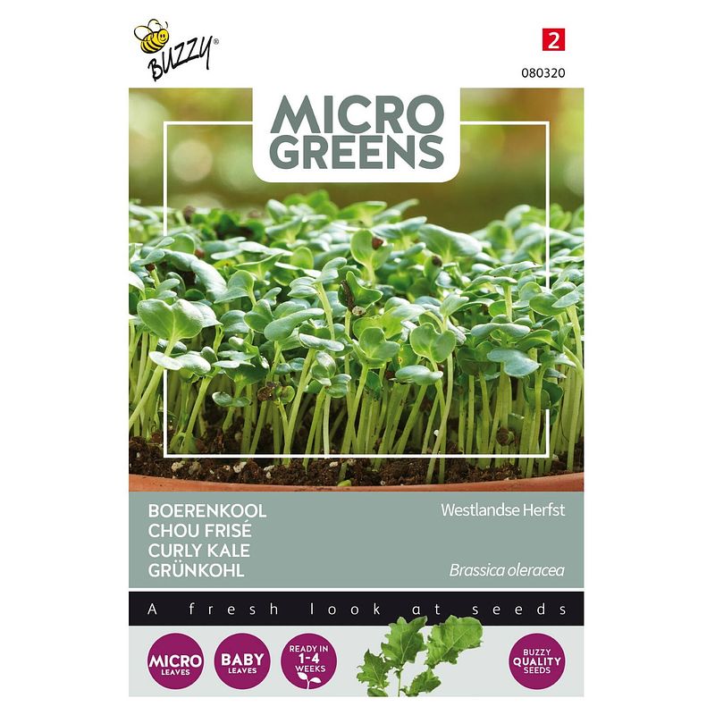 Foto van 5 stuks - buzzy - microgreens boerenkool