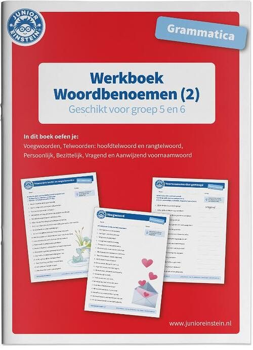 Foto van Werkboek woordbenoemen grammatica deel 2 groep 5 en 6 - paperback (9789493128149)