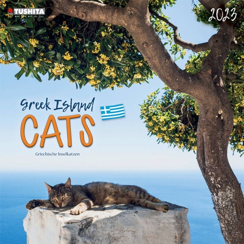 Foto van Greek island cats kalender 2023