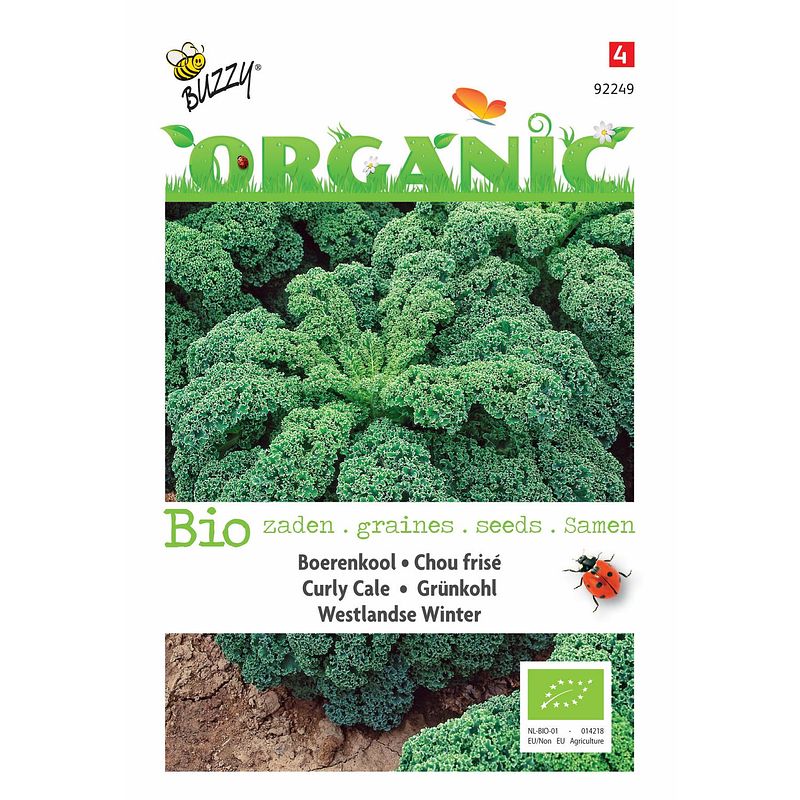 Foto van 5 stuks organic boerenkool westlandse (skal 14275)