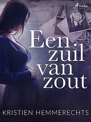 Foto van Een zuil van zout - kristien hemmerechts - ebook