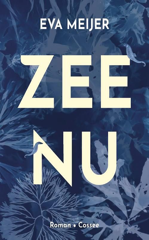 Foto van Zee nu - eva meijer - paperback (9789464520132)