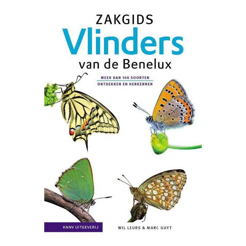 Foto van Zakgids vlinders van de benelux