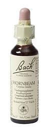 Foto van Bach flower remedies haagbeuk 17