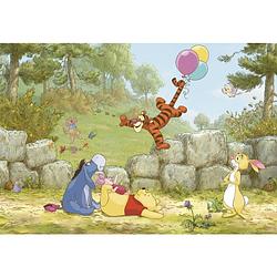 Foto van Komar winnie the pooh ballooning fotobehang 368x254cm 8-delen