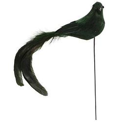 Foto van Gifts amsterdam vogel op standaard 4 cm veren groen