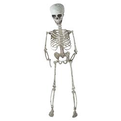Foto van Halloween - hangende horror decoratie skelet 70 cm - halloween poppen