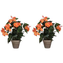 Foto van 2x stuks hibiscus kunstplanten oranje in grijze pot h40 x d30 cm - kunstplanten