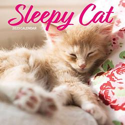 Foto van Sleepy cat kalender 2023