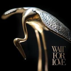 Foto van Wait for love - cd (8714092754421)