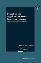 Foto van De rechten van ongedocumenteerde kinderen in curaçao - c.m. sandelowsky-bosman - paperback (9789462909656)