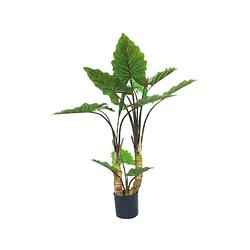 Foto van Kunstplant alocasia dubbel 120 cm