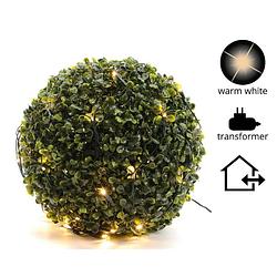 Foto van Led netverlichting buxus buit/dia50cm-80l/groen/warm wit