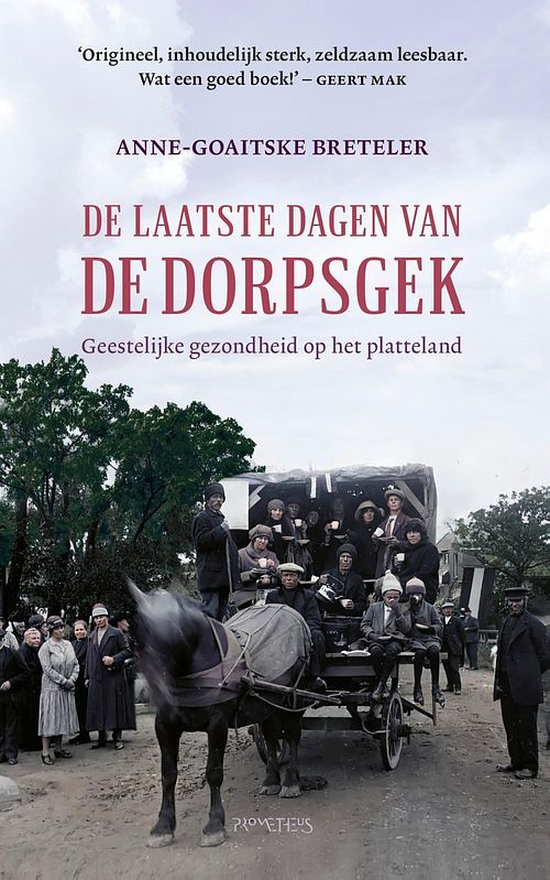 Foto van De laatste dagen van de dorpsgek - anne-goaitske breteler - ebook