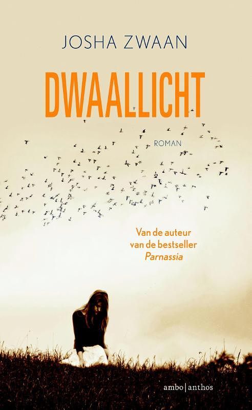 Foto van Dwaallicht - josha zwaan - ebook (9789026330667)