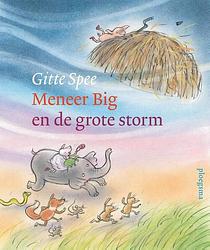 Foto van Meneer big en de grote storm - gitte spee - hardcover (9789021683553)