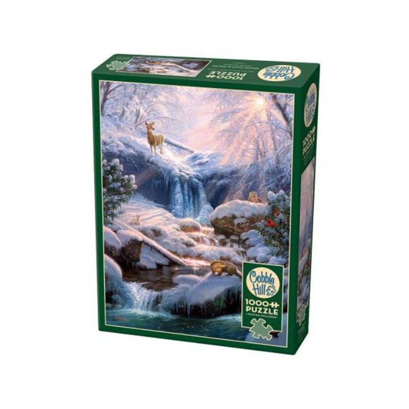 Foto van Cobble hill puzzle 1000 pieces - mystic falls in winter