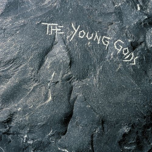 Foto van The young gods - lp (7640186550772)