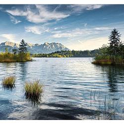 Foto van Komar am ende des tages vlies fotobehang 300x280cm 6-banen