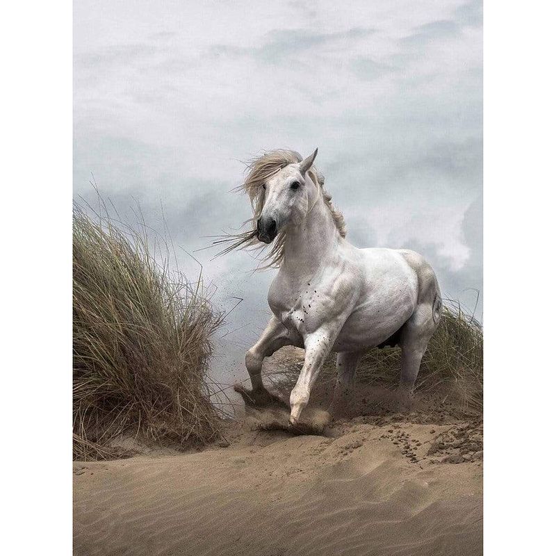 Foto van Wizard+genius white wild horse vlies fotobehang 192x260cm 4-banen