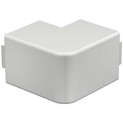 Foto van Obo bettermann 6192319 montageaccessoire (b x h) 60 mm x 60 mm zuiver wit 2 stuk(s)