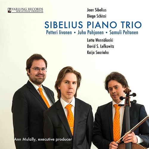 Foto van Sibelius piano trio - cd (0190394526382)