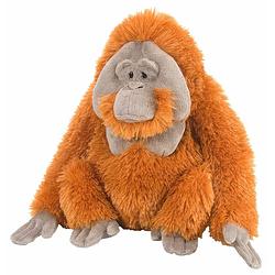 Foto van Wild republic knuffel orang-oetan junior 30 cm pluche bruin