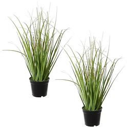 Foto van Set van 2x stuks groene grasplant pennisetum kunstplanten in zwarte kunststof pot 38 cm - kunstplanten