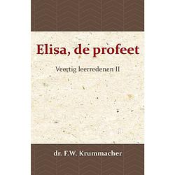 Foto van Elisa, de profeet 2