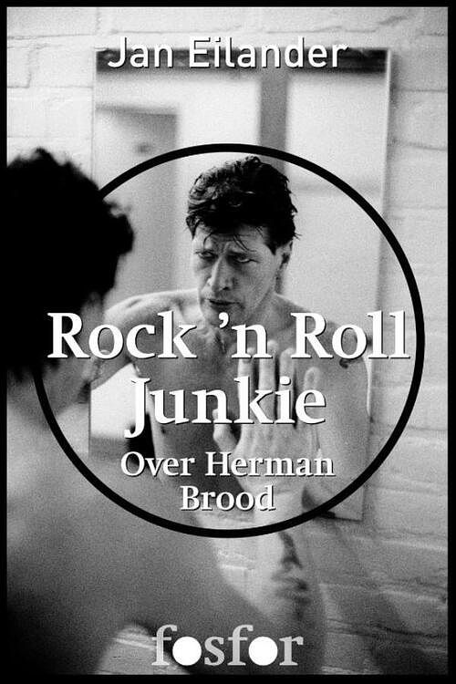 Foto van Rock n roll junkie - jan eilander, martin bril - ebook (9789462250314)